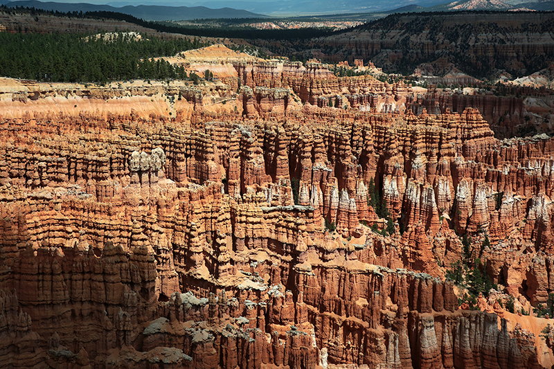 Bryce Canyon : Utah : Landscape Photos : Richard Moore : Photographer